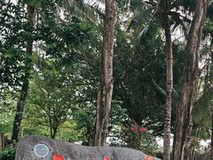 -海南分界洲岛旅游区