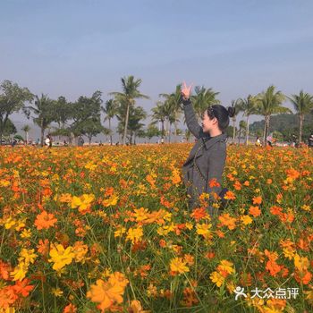 好久没去过海滨公园了 暖暖的下午 晒着太阳