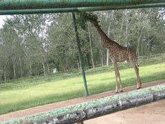-秦皇岛野生动物园
