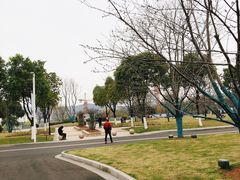 -羊山湖公园