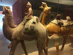 -西安大唐西市博物馆