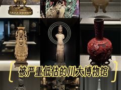 -四川大学博物馆