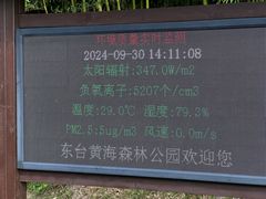 -黄海国家森林公园