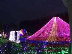 -顺鑫绿色度假村