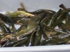 -岳各庄批发市场(西四环中路店)