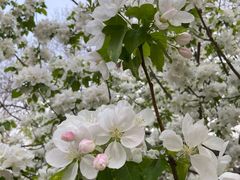 -元大都城垣遗址公园