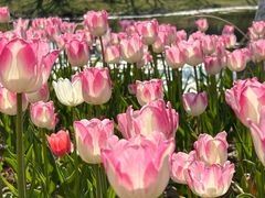 -正清和·推拿养生(和平广场店)