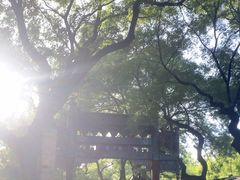 -北京国子监胡同