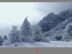 -秦岭风景区