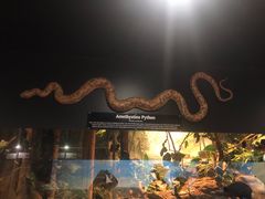 -费瑟代尔野生动物园