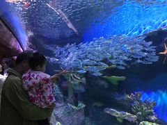 -华夏文旅海洋公园