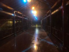 -韶关经律论国际酒店温泉