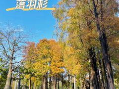-四海公园(南山区)