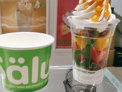 -Salud撒露欧洲冻酸奶(北苑上品店)