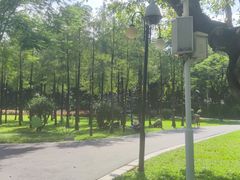 -晓港公园