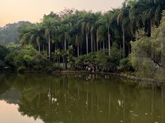 -滴水岩森林公园