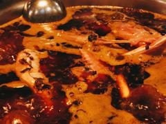 -花鲢鱼头火锅(春城东路店)