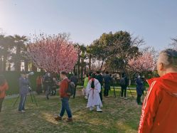-玄武湖景区-情侣园游乐场