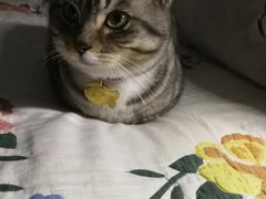 -治愈系甜品The Soothing Dessert(科海大楼店)