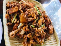 五花肉炒河虾-农厨好味·温泉鹅·农家菜
