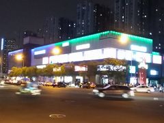 -宋家庄(地铁站)
