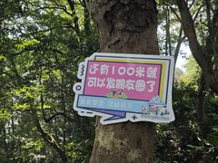 -广州市帽峰山景区