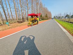 -上海长兴岛郊野公园