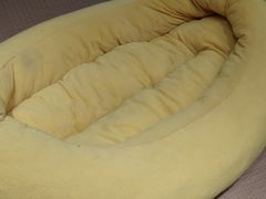 -逗柴咖啡屋·狗咖猫咖宠物桌游