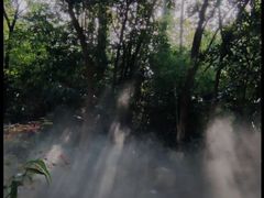-成都市活水公园