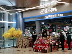 门面-盒马鲜生(丁香国际店)
