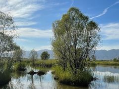 -野鸭湖国家湿地公园