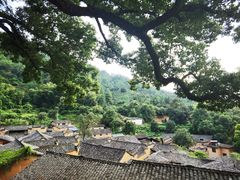 -杨家堂村