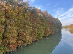 -上海海湾国家森林公园