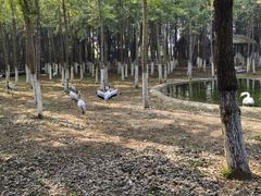 -艾溪湖湿地公园