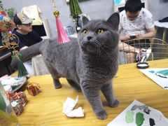 -100家灵感仓库·DIY团建(什刹海店)