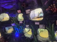-上海大自然野生昆虫馆(东方明珠·爬宠昆虫探索中心)