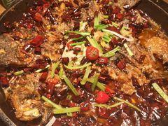 -老板恋上鱼(印象城店)