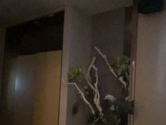 -金色印象·HiFi影音·按摩足疗(龙腾路店)