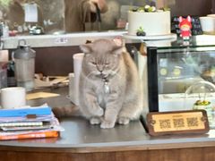 -MIMO CAFE(沙头角店)