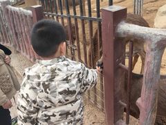 -石家庄市动物园