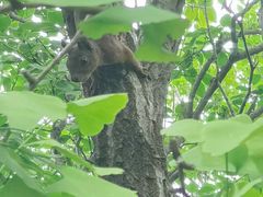 -国家植物园南园