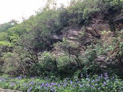 -汉中石门栈道景区