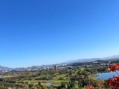 -海花锅盖烧烤店(怡馨家园店)