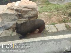 -乐和乐都主题乐园