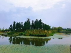 -东郊湿地公园