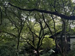 -中国茶叶博物馆(双峰馆区)
