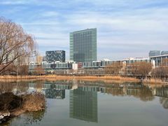 -大兴滨河森林公园