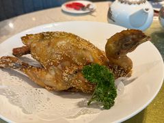 -顺轩海鲜火锅酒家