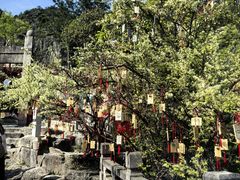 -大慈岩风景区