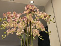-峨嵋一派